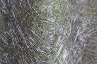 Lhanbryde fibreglass roof work