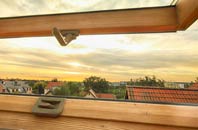 rated Lhanbryde roof window companies